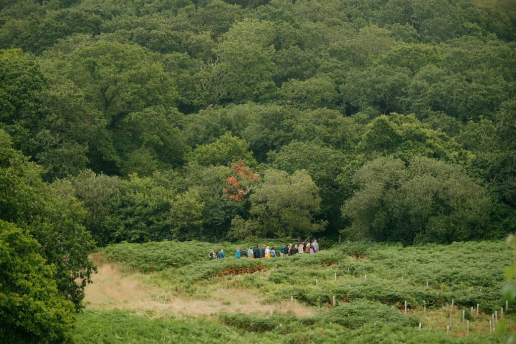 Plant One, Cornwall